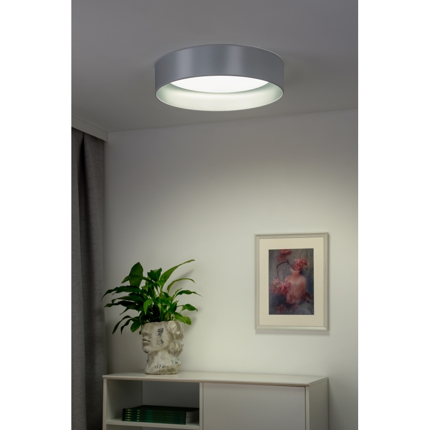 Duolla - LED Plafondlamp ROLLER LED/24W/230V diameter 45 cm zilver