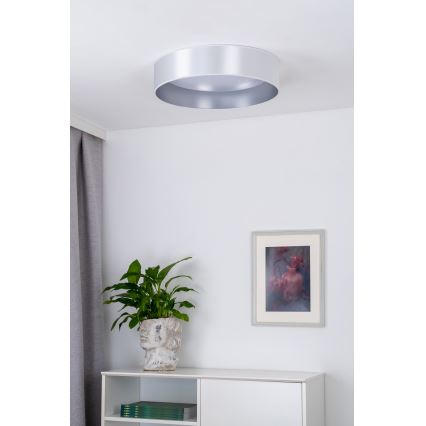 Duolla - LED Plafondlamp ROLLER LED/24W/230V diameter 45 cm zilver