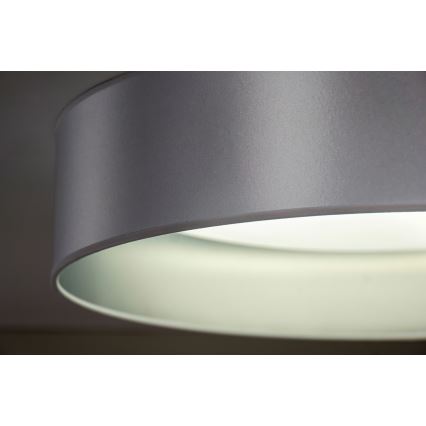 Duolla - LED Plafondlamp ROLLER LED/24W/230V diameter 45 cm zilver