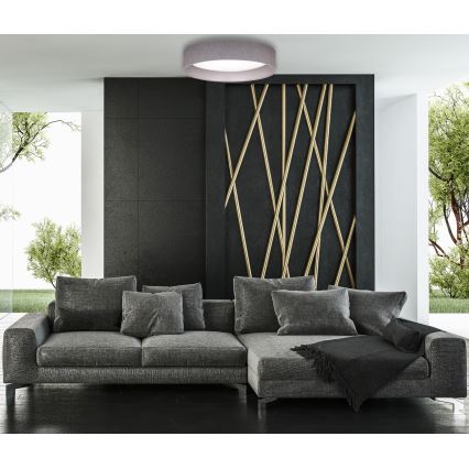 Duolla - LED Plafondlamp ROLLER LED/24W/230V donker diameter 45 cm grijs