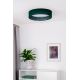 Duolla - LED Plafondlamp ROLLER LED/24W/230V groen