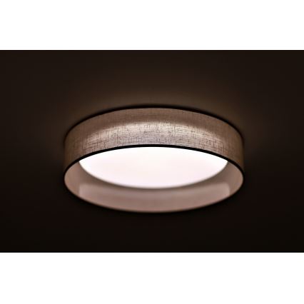 Duolla - LED Plafondlamp ROLLER LED/24W/230V lamp diameter 45 cm grijs