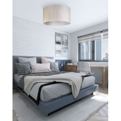 Duolla - Plafondlamp ESSEX 1xE27/40W/230V diameter 45 cm zilver