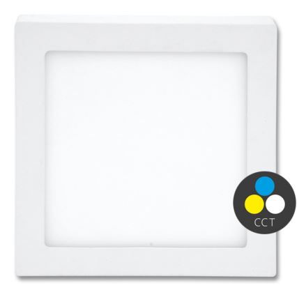 LED Plafondlamp RAFA LED/25W/230V 3000/4000/6000K 30x30 cm wit
