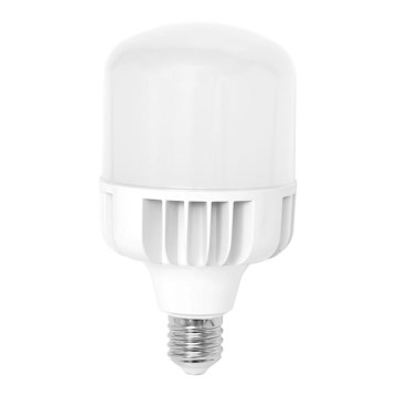 Ecolite - LED Lamp E40 / 95W / 230V