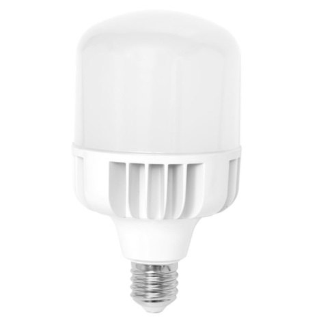 Huiswerk maken Anoi Herziening Ecolite - LED Lamp E40 / 95W / 230V | Lampenmanie