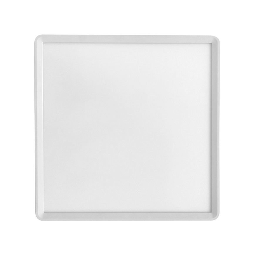 LED Plafondlamp TERY LED/24W/230V 3000/4000/6000K 30x30 cm IP40 wit