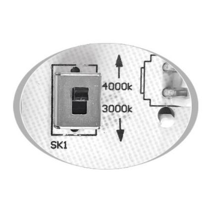 LED Plafondlamp voor buiten MARTIN LED/15W/230V 3000/4000K diameter 30 cm IP65 wit