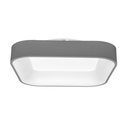 Dimbare LED Plafond Lamp NEST LED/40W/230V 3000-6500K grijs