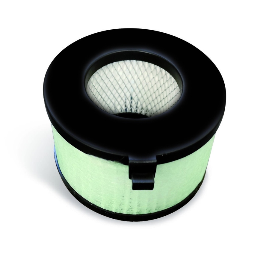 EcoStep 10306 - Handendroger R4.1 720W/230V grafiet