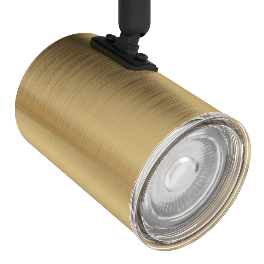 Eglo - Badkamer spot 3xGU10/5W/230V IP44 zwart/goud