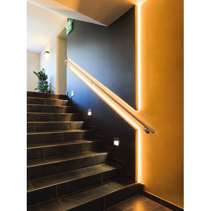 Eglo 31409 - LED RGBW dimbare strip 5m LED/11W/12/230V 2700-6500K