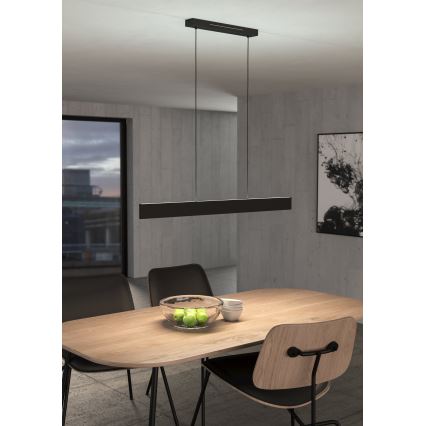 Eglo 31433 - LED RGBW Dimbare hanglamp aan een koord ANDREAS-Z LED/38W/230V 2700-6500K zwart