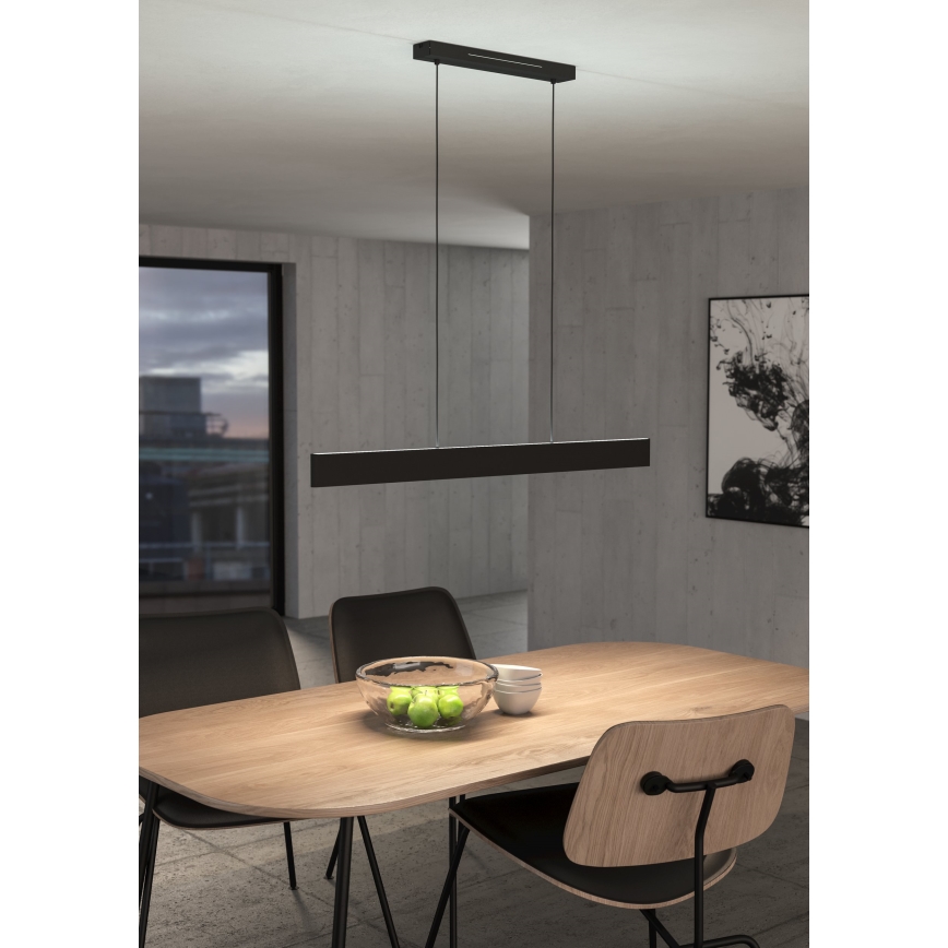 Eglo 31433 - LED RGBW Dimbare hanglamp aan een koord ANDREAS-Z LED/38W/230V 2700-6500K zwart