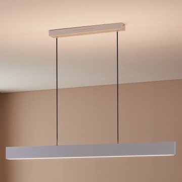 Eglo 31436 - LED RGBW Dimbare hanglamp aan een koord ANDREAS-Z LED/38W/230V 2700-6500K wit