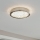 Eglo 32047 - LED Plafondlamp AREZZO 2 LED/17,92W/230V