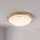 Eglo 32094 - LED Plafondlamp PLANET LED/11W/230V 3000K mat chroom