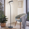 Eglo 32327 - LED RGBW dimbare vloerlamp MARGHERA-C LED/15,5W/230V 2700-6500K zwart