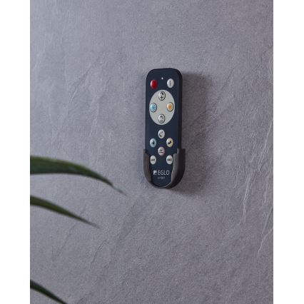 Eglo 33199 - Afstandsbediening FRANIA 1xCR2032