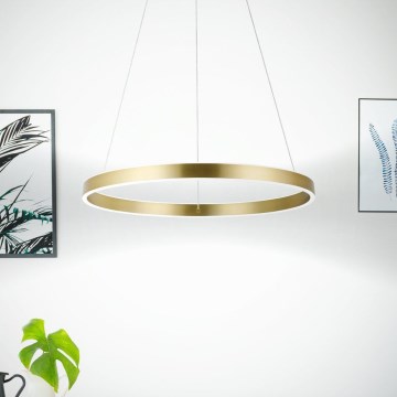 Eglo 33484 - LED-hanglamp met kabel ALCAZABA 2xLED/18W/230V 3000K Ø 55 cm goud