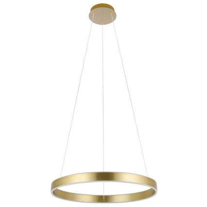 Eglo 33484 - LED-hanglamp met kabel ALCAZABA 2xLED/18W/230V 3000K Ø 55 cm goud