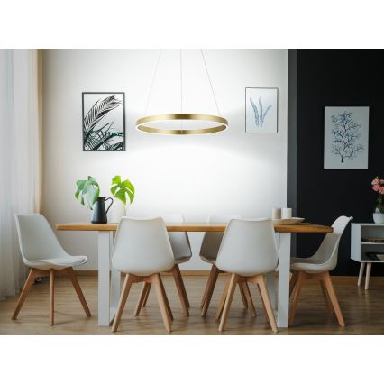 Eglo 33484 - LED-hanglamp met kabel ALCAZABA 2xLED/18W/230V 3000K Ø 55 cm goud