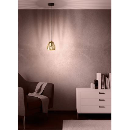 Eglo - Hanglamp aan een koord 1xE27/40W/230V goud