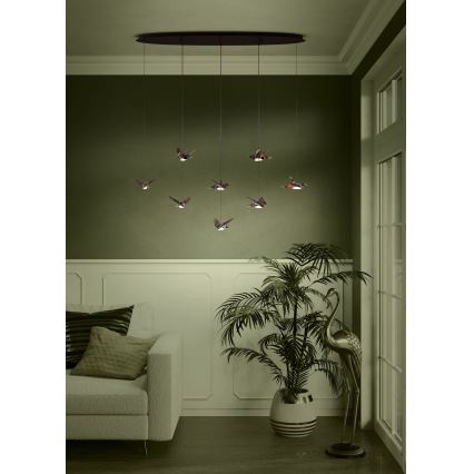 Eglo - Dimbare LED hanglamp aan een koord 8xLED/4,2W/230V 3000K zwart