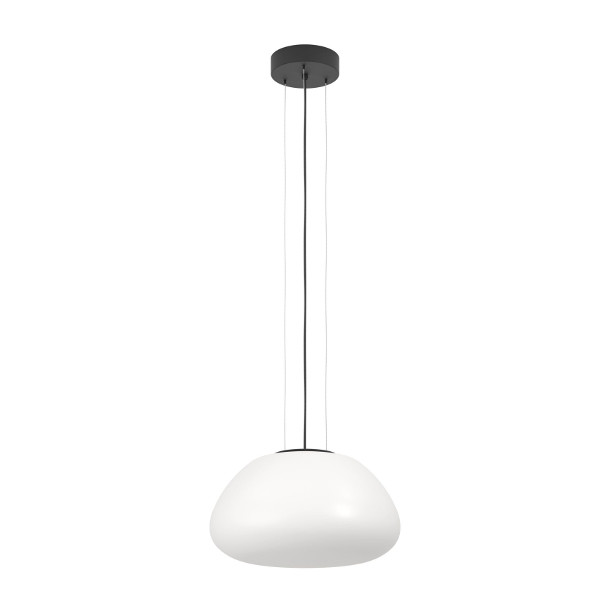 Eglo - Hanglamp aan een koord 1xE27/40W/230V zwart