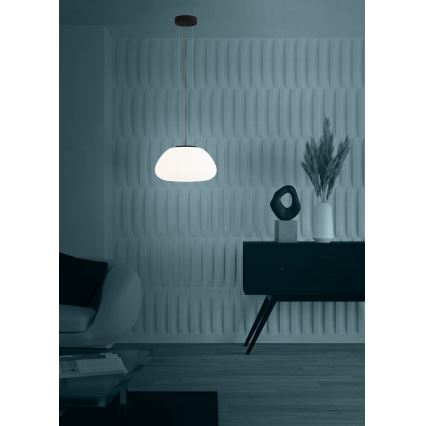 Eglo - Hanglamp aan een koord 1xE27/40W/230V zwart