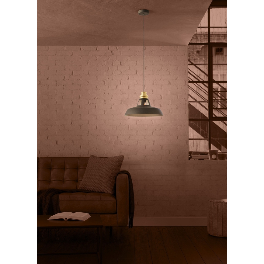Eglo - Hanglamp aan een koord 1xE27/40W/230V zwart/goud