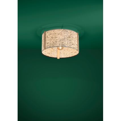 Eglo - Plafondlamp 1xE27/25W/230V beige