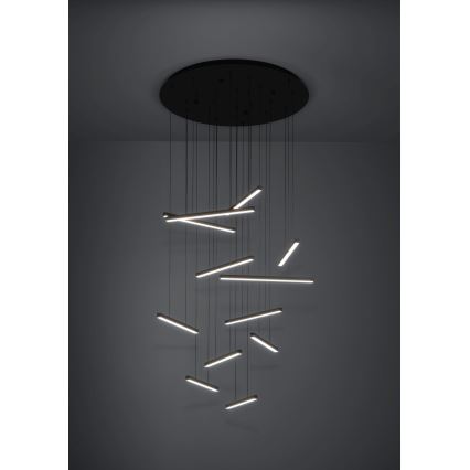 Eglo - Dimbare LED hanglamp aan een koord 12xLED/8,4W/230V 3000K zwart