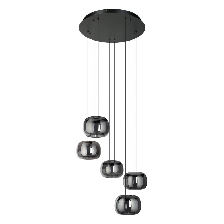Eglo - LED-dimbare pendellamp aan snoer 5xLED/5,8W/230V zwart/gerookt glas