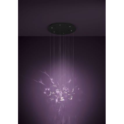 Eglo - LED-dimbare pendellamp aan kabel 6xLED/4,2W/230V zwart/helder