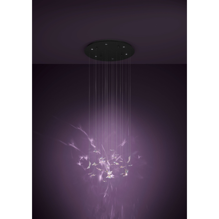 Eglo - LED-dimbare pendellamp aan kabel 6xLED/4,2W/230V zwart/helder