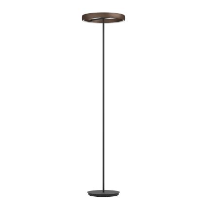 Eglo - dimbare LED staande lamp met bewegingssensor 2xLED/19W/230V 2200-6500K bruin