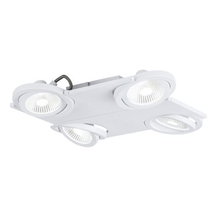 Eglo 39136 - LED Spot BREA 4xLED/5W/230V/12V