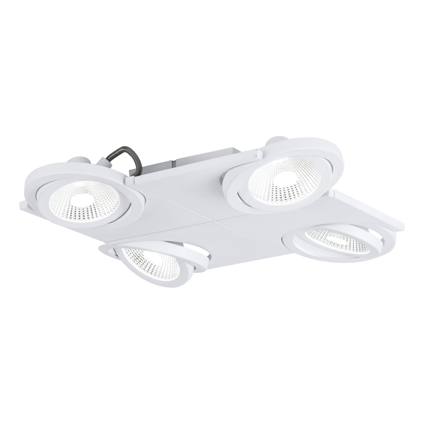 Eglo 39136 - LED Spot BREA 4xLED/5W/230V/12V