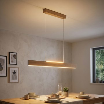 Eglo 39344 - LED-hanglamp aan kabel CLIMENE LED/17W/230V + LED/4,2W eiken