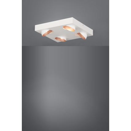Eglo - LED Plafondverlichting dimbaar 4xLED/3,3W/230V