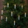 Eglo 410534 - LED  lichtsnoer 25xE10/0,2W/230V 18 m