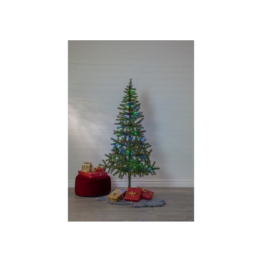 Eglo - LED Buitensnoer 160xLED 26m IP44 meerkleurig