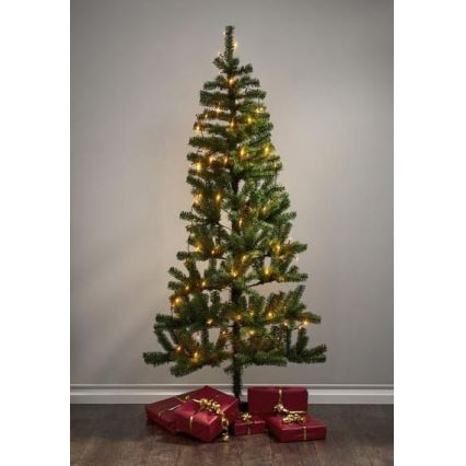 Eglo - LED-lichtsnoer voor buiten, 80 LEDs, 10,5 m, IP44, warm wit