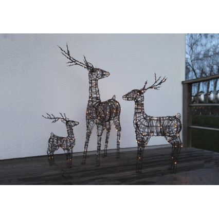 Eglo - LED buitenkerstdecoratie 64xLED/0,066W/3/230V IP44