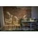 Eglo - LED Kerst Decoratie voor Buiten 220xLED/0,06W/6/230V IP44