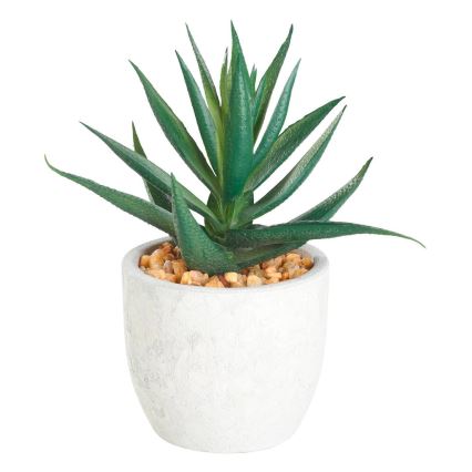 Eglo - Kunstplant in pot 15,5x10 cm succulent