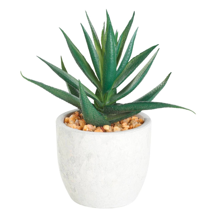 Eglo - Kunstplant in pot 15,5x10 cm succulent