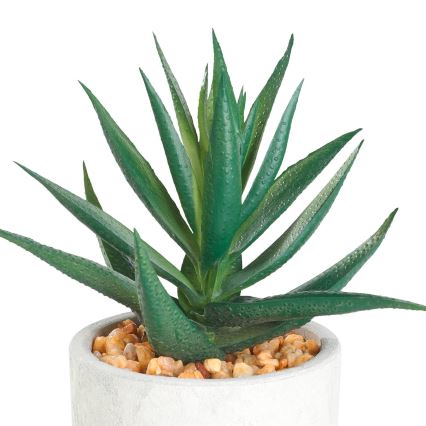 Eglo - Kunstplant in pot 15,5x10 cm succulent
