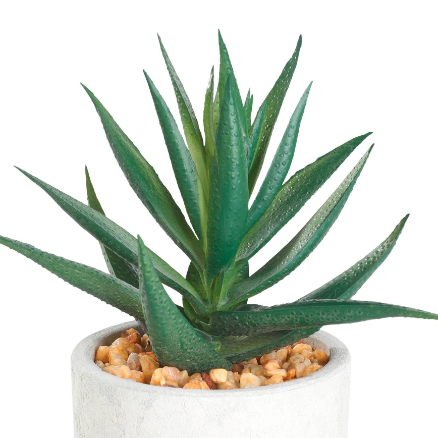 Eglo - Kunstplant in pot 15,5x10 cm succulent